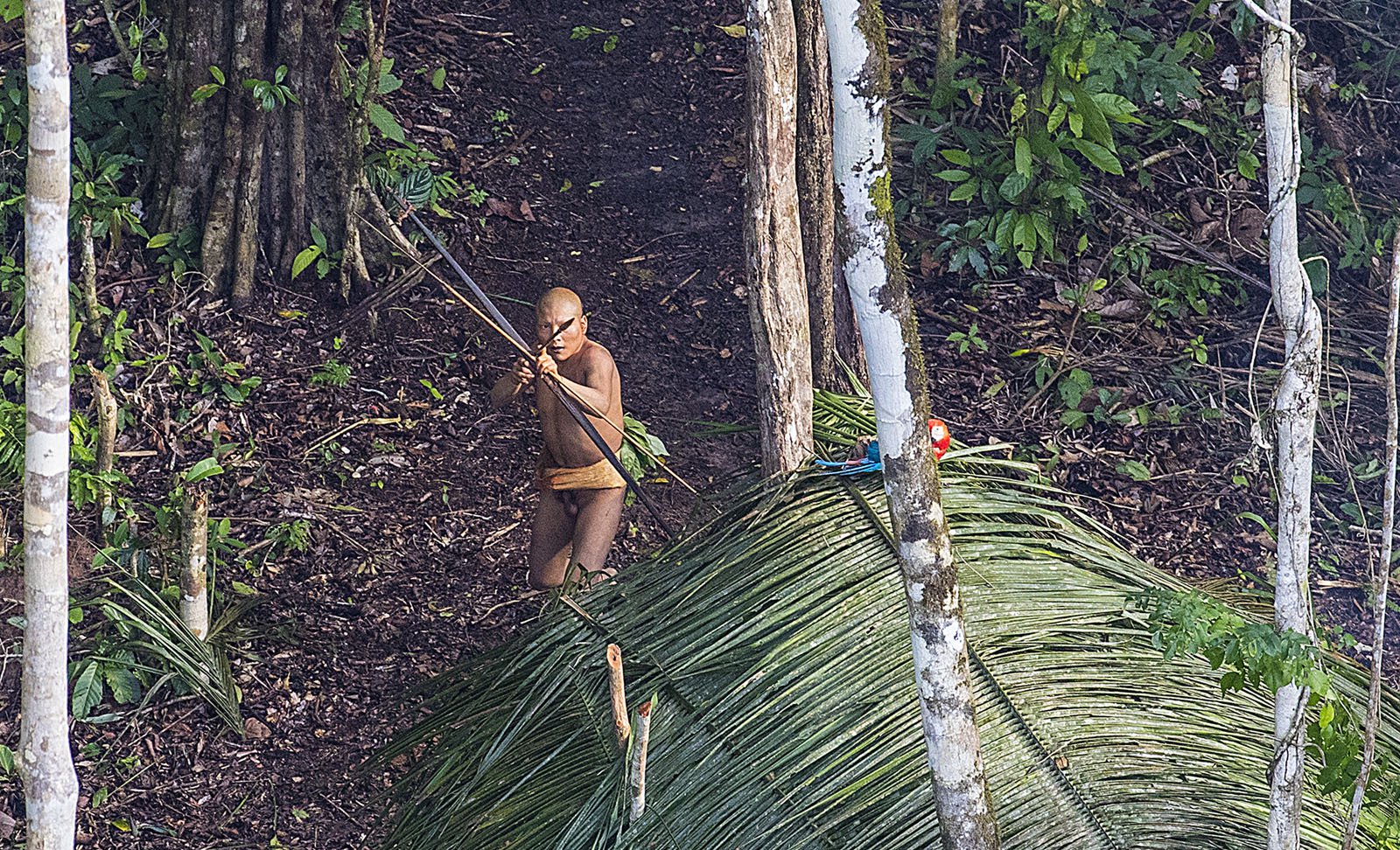 фото аборигена с копьем на необитаемом острове