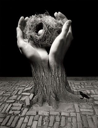 Journey into Night, 2006 (hands with nest)