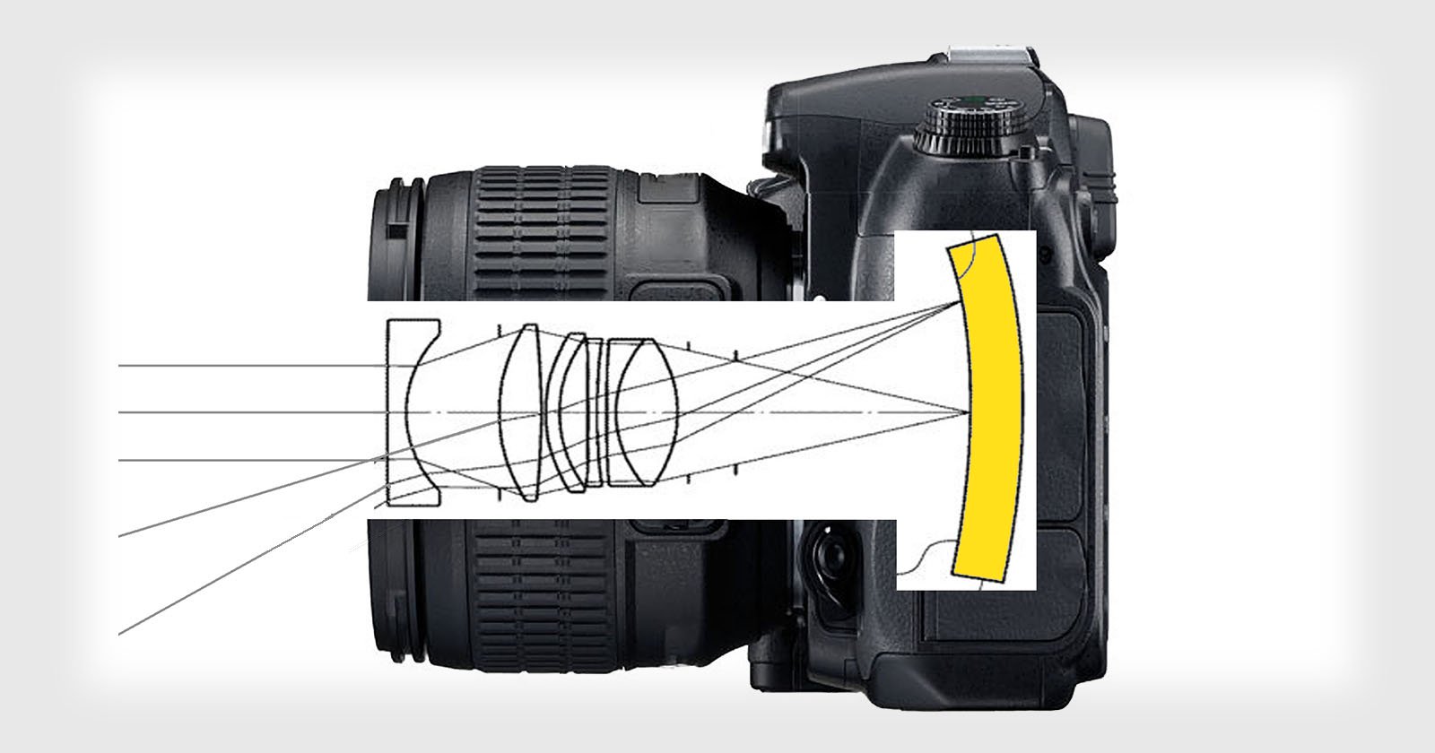 Новые сенсоры Nikon