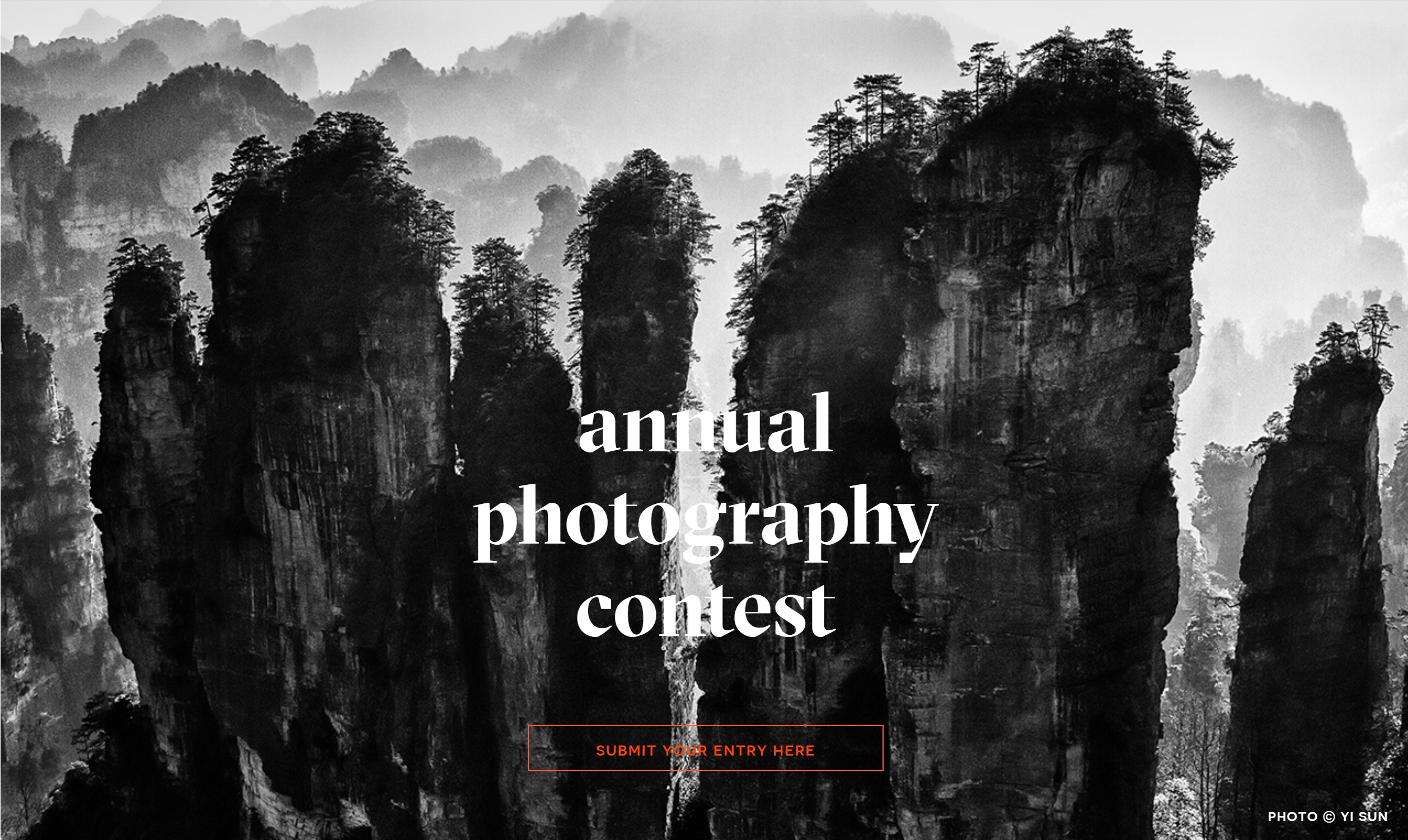 Annual photo contest