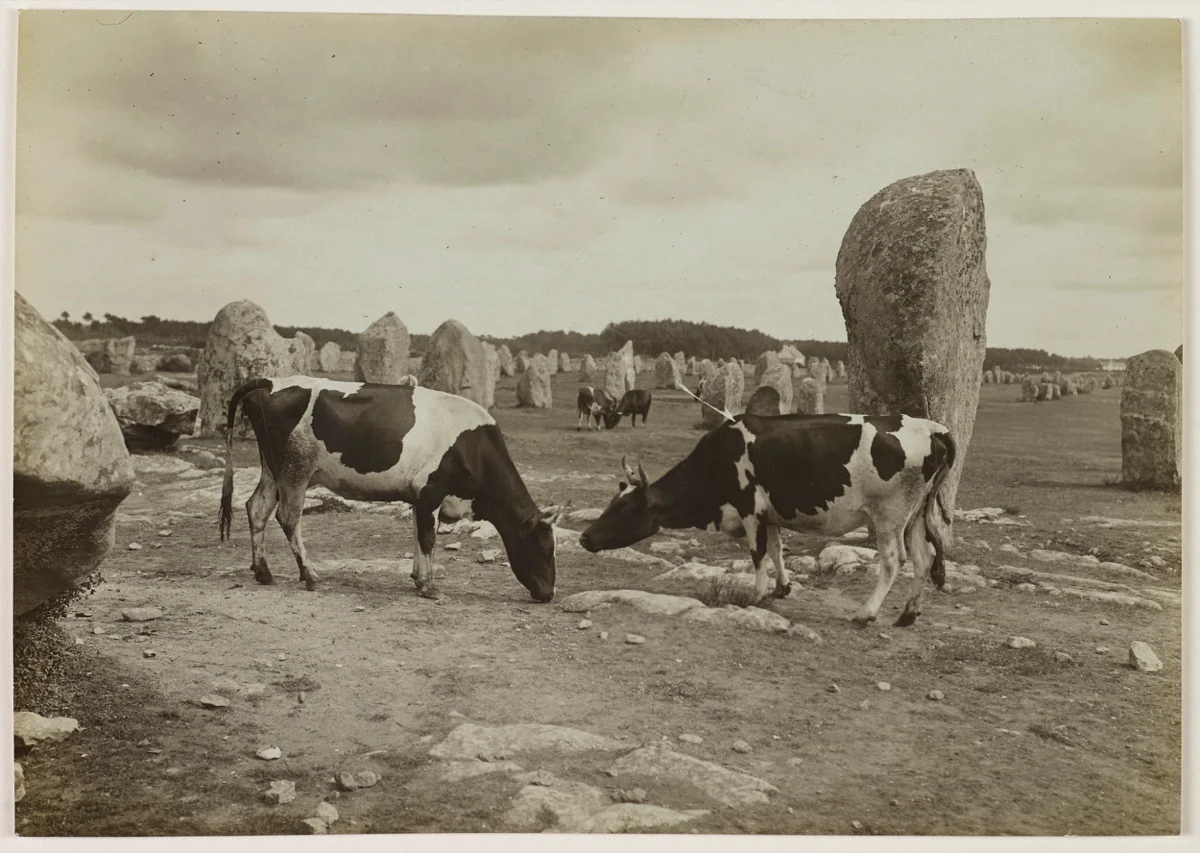 © Шарль или Поль Женьо, Карнака, Морбиан, около 1905 г./ Источник: leschampslibres.fr